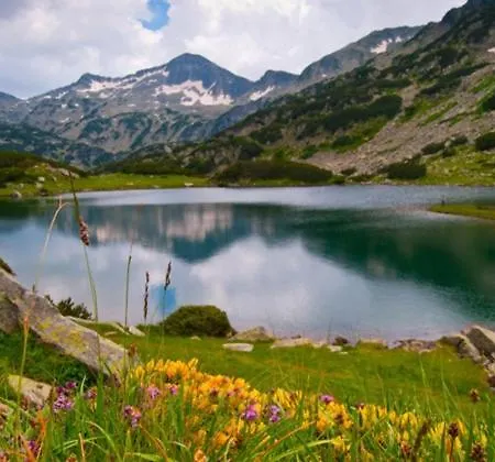 Downtown Luxury Бансько